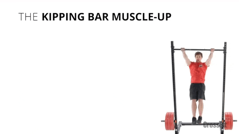 Pull Up Exercises