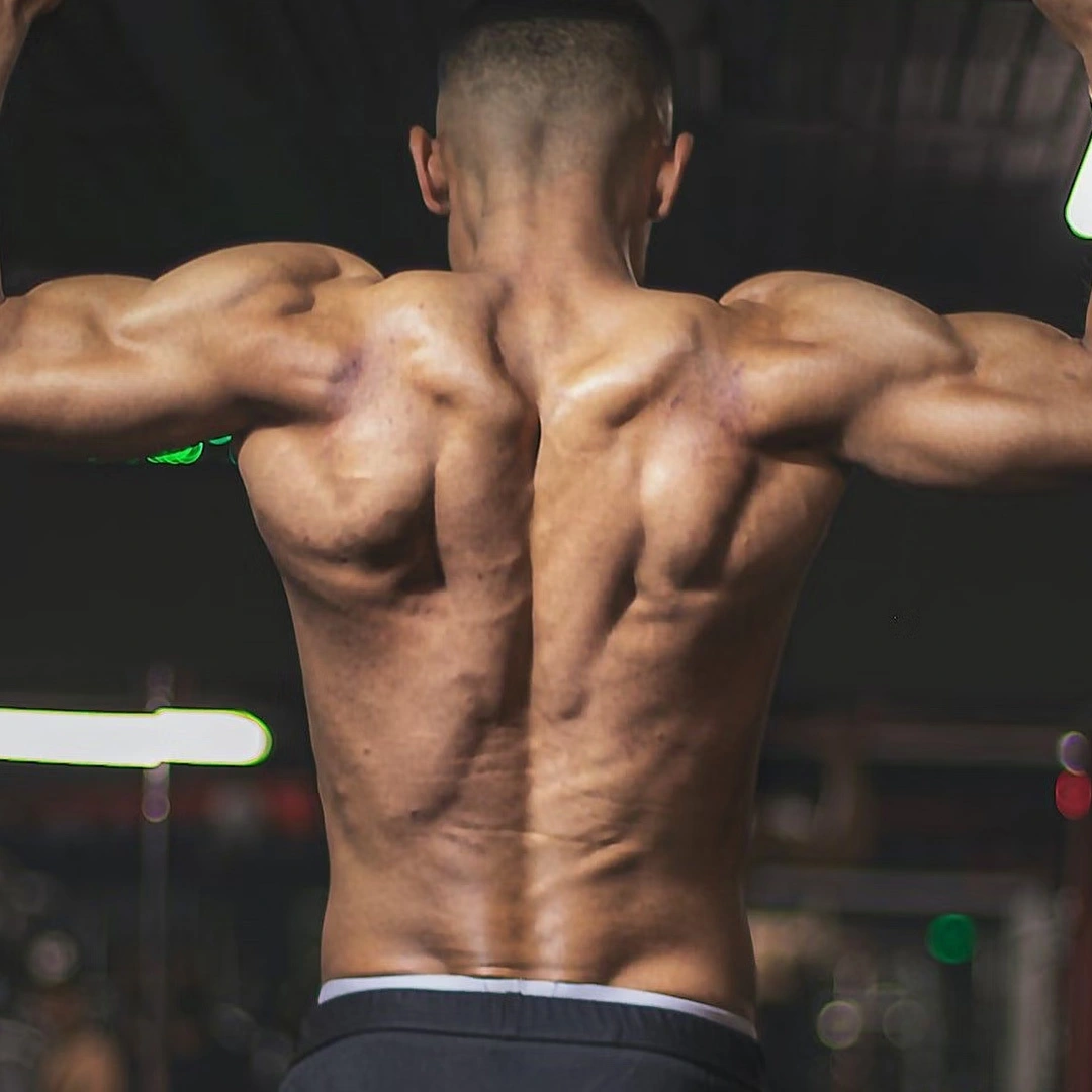 chin up bars for home